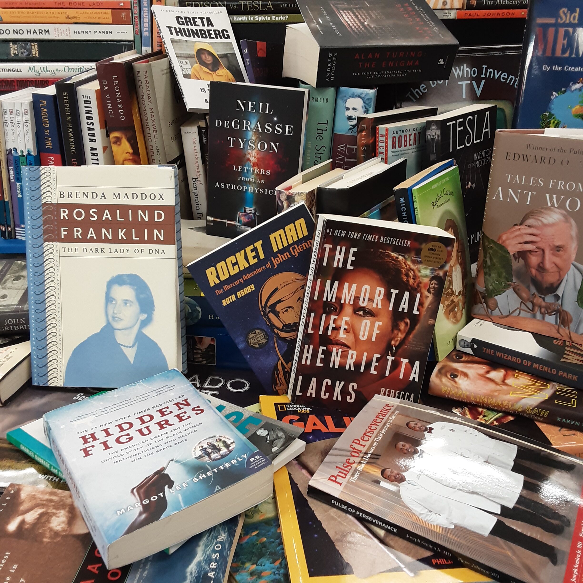 My Big Project- Science Biographies Collection | STEM Library Lab